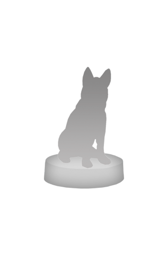 Figurine personnalisée animaux